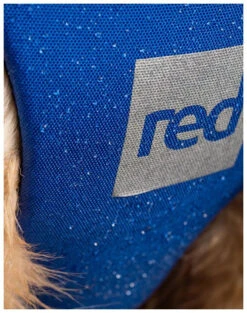 Red Paddle Co. Red Paddle Co Dog Buoyancy Aid -Watersporten Winkel red paddle co dog buoyancy aid blue xs 330 480 mm blue 7