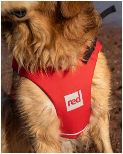 Red Paddle Co. Red Paddle Co Dog Buoyancy Aid -Watersporten Winkel red paddle co dog buoyancy aid red 5 1