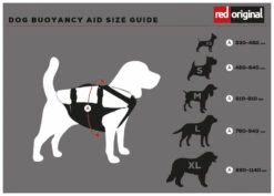 Red Paddle Co. Red Paddle Co Dog Buoyancy Aid -Watersporten Winkel red paddle co dog buoyancy aid xs 330 480 mm red 1