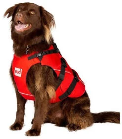 Red Paddle Co. Red Paddle Co Dog Buoyancy Aid -Watersporten Winkel red paddle co dog buoyancy aid xs 330 480 mm red 4